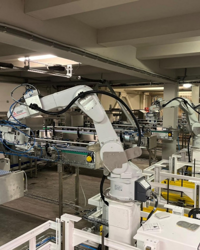 Spices palletizing line