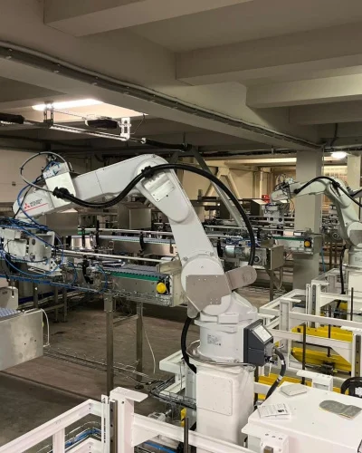Spices palletizing line